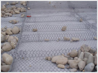 ʯ�\�W(w��ng)�o(h��)�|