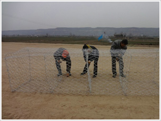 �\�X�Ͻ�W(w��ng)��